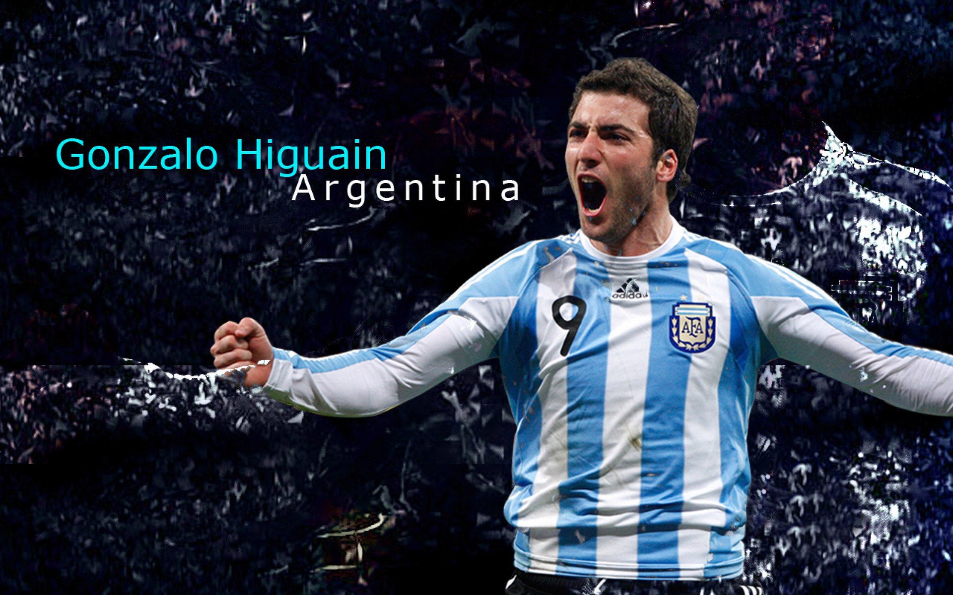 全明星投票结果：为何这几位球员成为焦点？，全明星投票结果公布